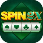 SPIN2X